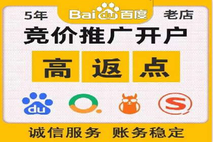 精准投放，高效转化——SEM竞价优化案例集